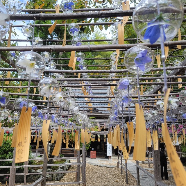 f:id:atoriatoriatori:20251027083800j:image f:id:atoriatoriatori:20251027083800j:image