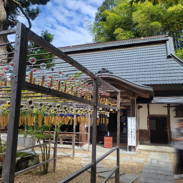 f:id:atoriatoriatori:20251027083850j:image f:id:atoriatoriatori:20251027083850j:image