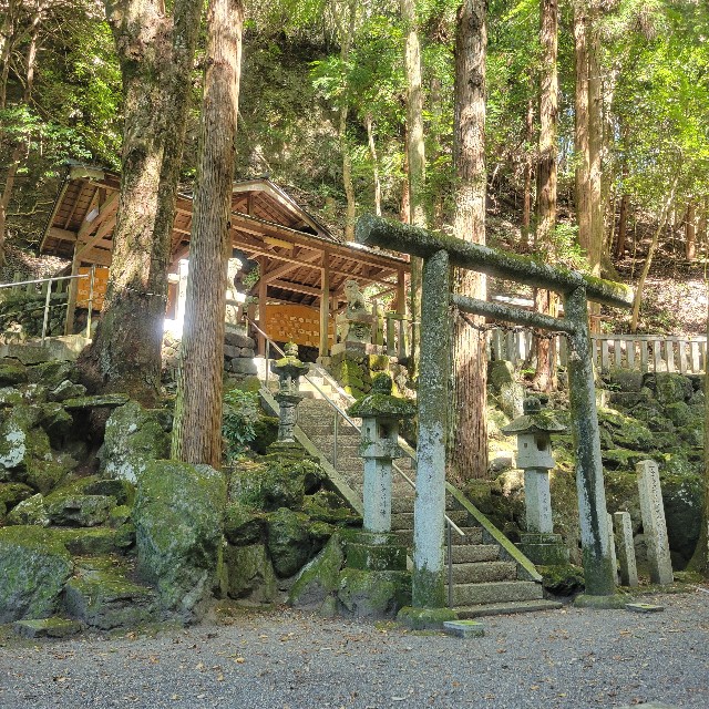 f:id:atoriatoriatori:20251029103638j:image