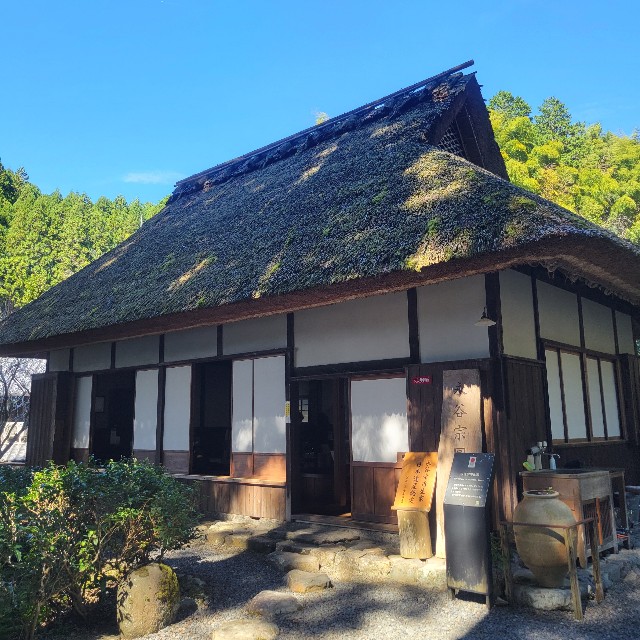 f:id:atoriatoriatori:20251029132527j:image