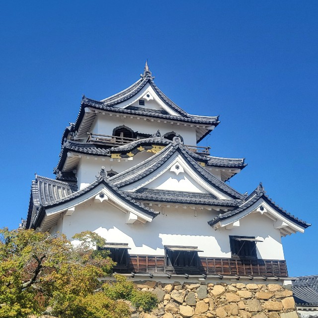 f:id:atoriatoriatori:20251110093746j:image