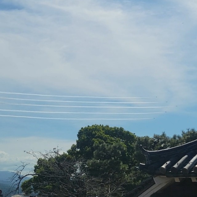 f:id:atoriatoriatori:20251110100350j:image