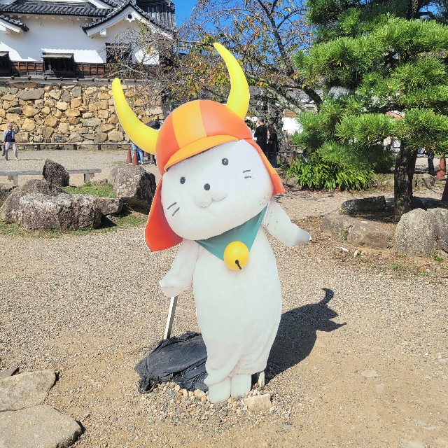 f:id:atoriatoriatori:20251110105817j:image