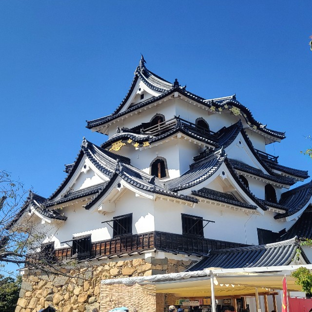 f:id:atoriatoriatori:20251110105833j:image
