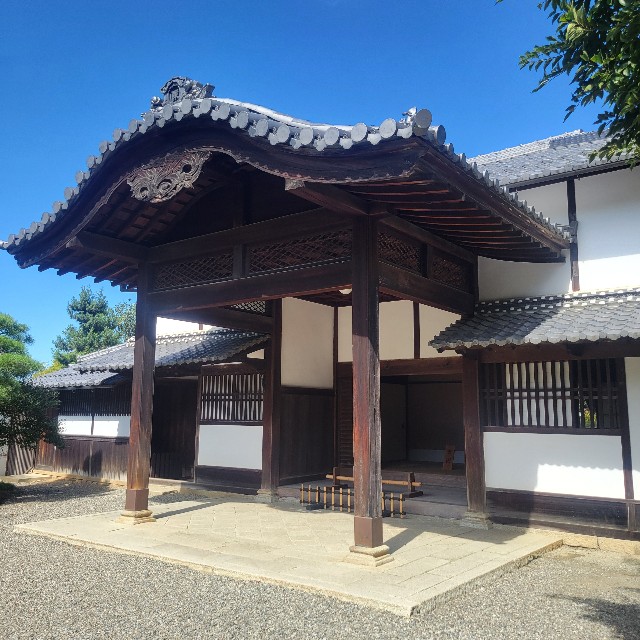 f:id:atoriatoriatori:20251111084715j:image