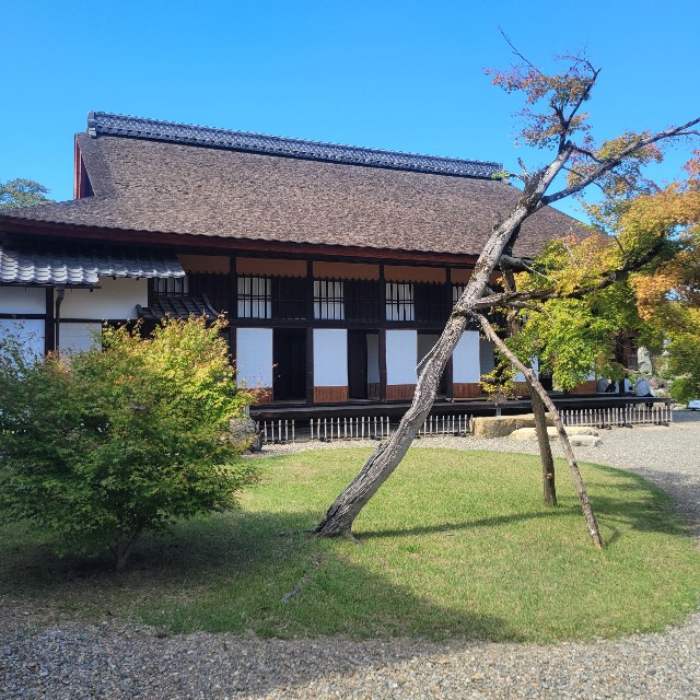 f:id:atoriatoriatori:20251111084729j:image