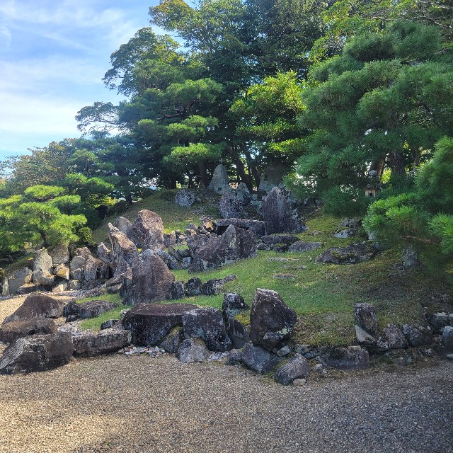f:id:atoriatoriatori:20251111092459j:image