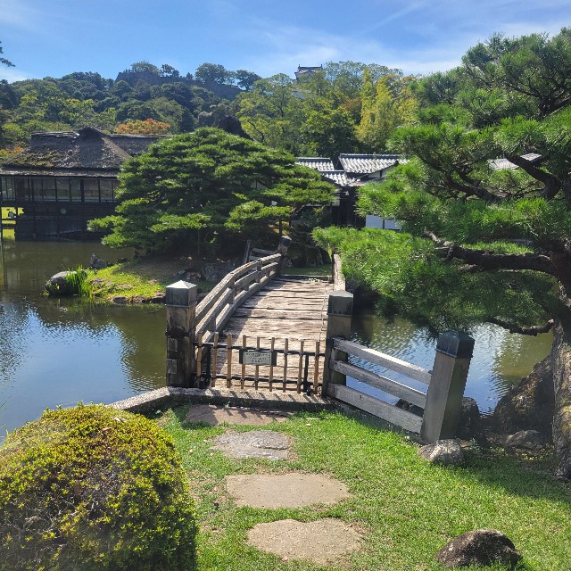 f:id:atoriatoriatori:20251111093142j:image