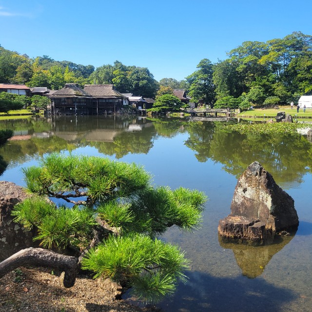 f:id:atoriatoriatori:20251111111322j:image