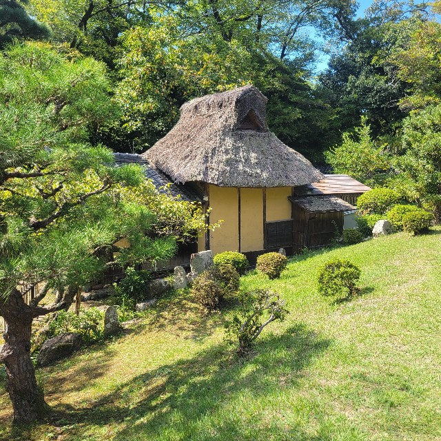 f:id:atoriatoriatori:20251111124433j:image