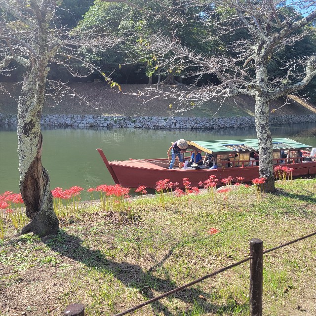 f:id:atoriatoriatori:20251111124735j:image