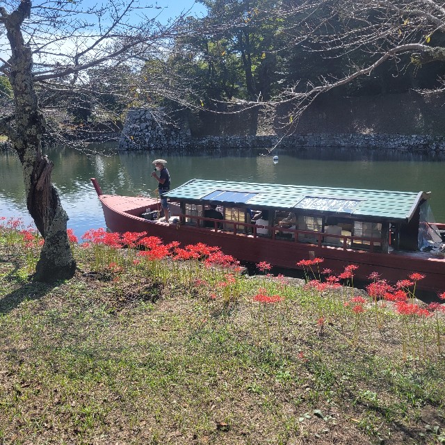 f:id:atoriatoriatori:20251111124741j:image