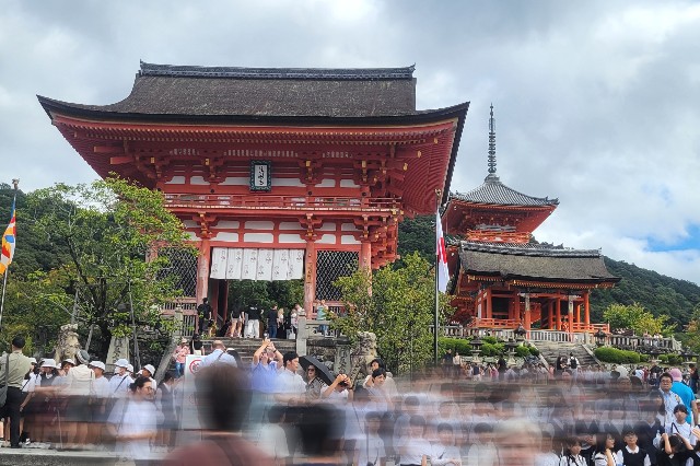 f:id:atoriatoriatori:20251113092515j:image f:id:atoriatoriatori:20251113092515j:image