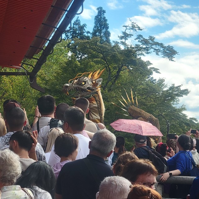 f:id:atoriatoriatori:20251113113105j:image f:id:atoriatoriatori:20251113113105j:image