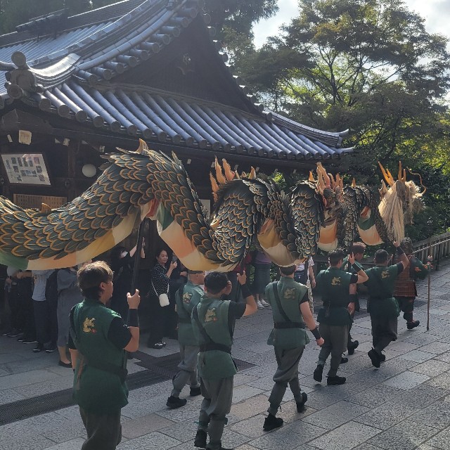 f:id:atoriatoriatori:20251113143506j:image f:id:atoriatoriatori:20251113143506j:image