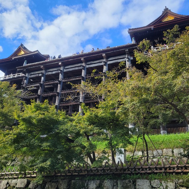 f:id:atoriatoriatori:20251113143712j:image f:id:atoriatoriatori:20251113143712j:image