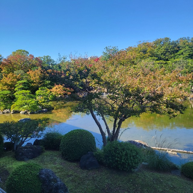 f:id:atoriatoriatori:20251118121404j:image