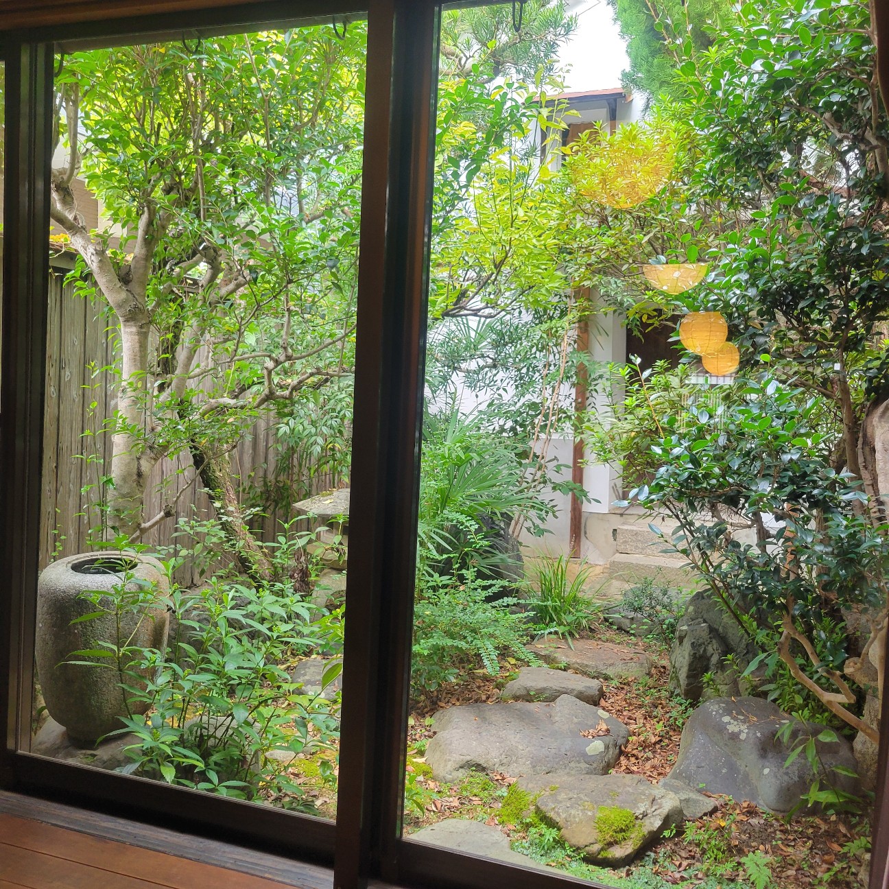 f:id:atoriatoriatori:20251120084038j:image
