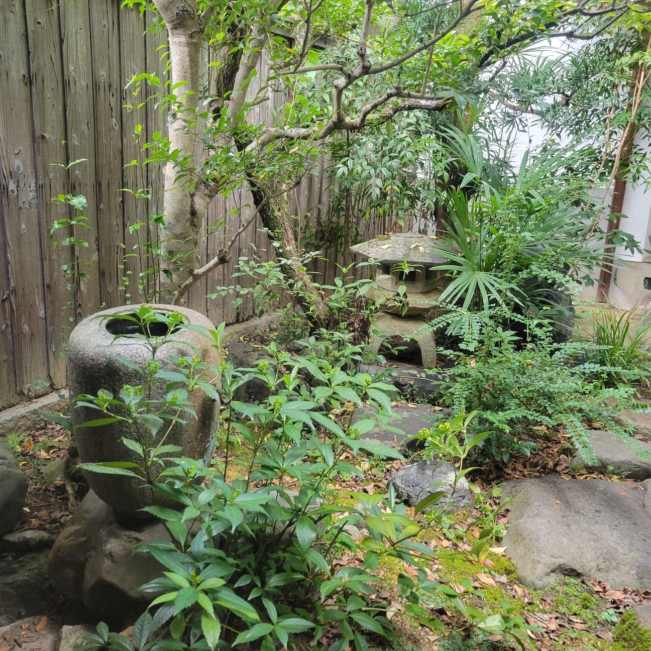 f:id:atoriatoriatori:20251120084046j:image