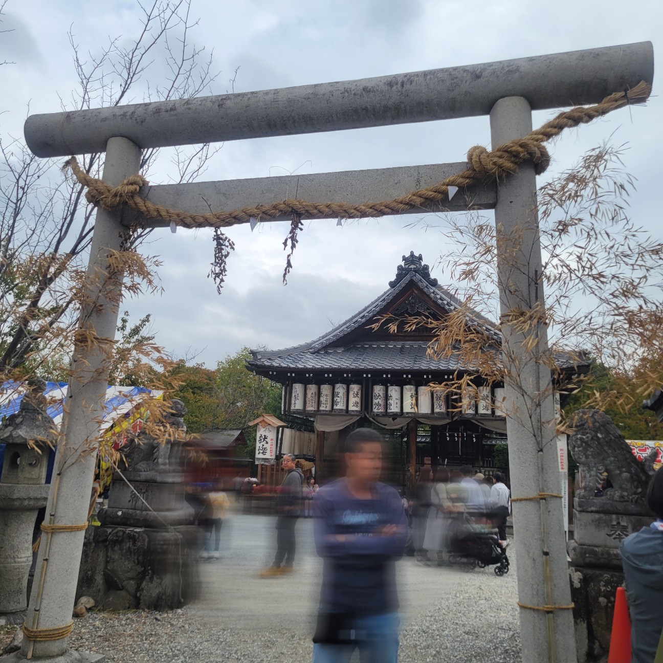 f:id:atoriatoriatori:20251120101018j:image