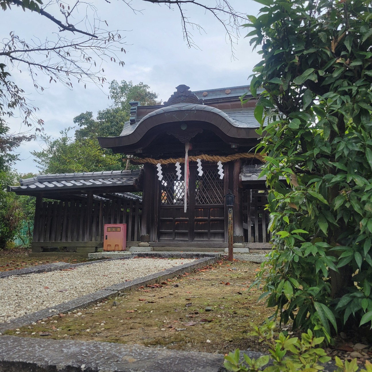 f:id:atoriatoriatori:20251120102254j:image