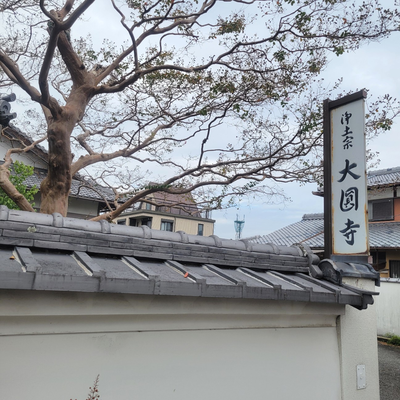 f:id:atoriatoriatori:20251124093722j:image