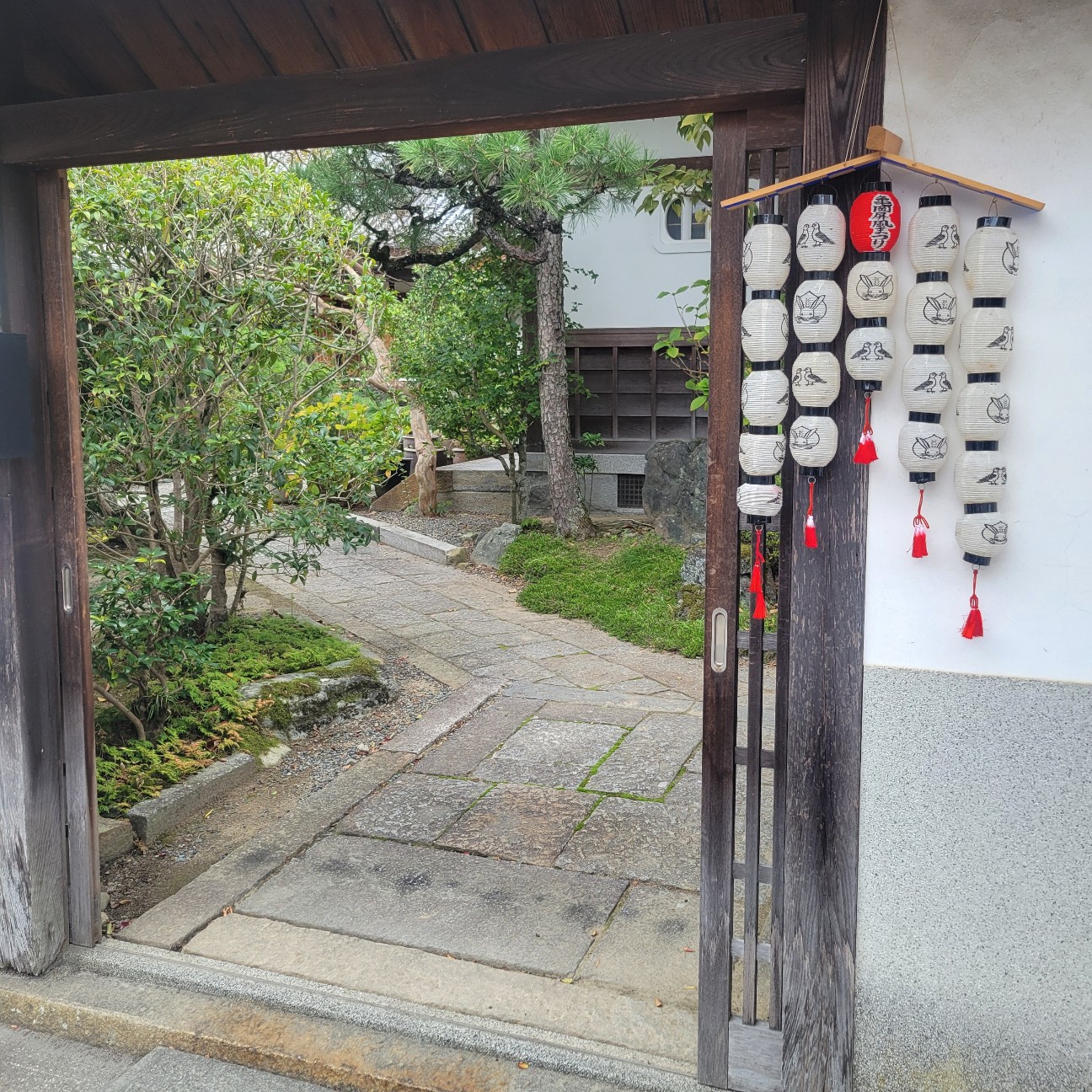 f:id:atoriatoriatori:20251124093742j:image