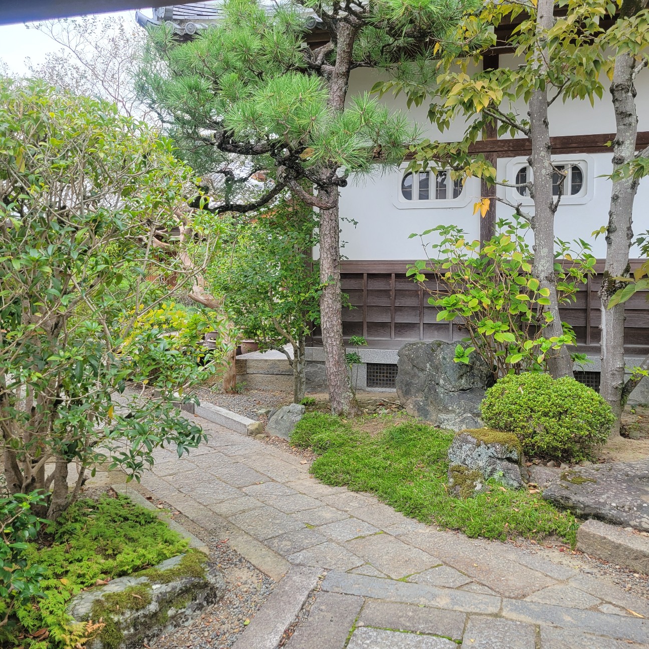 f:id:atoriatoriatori:20251124093751j:image