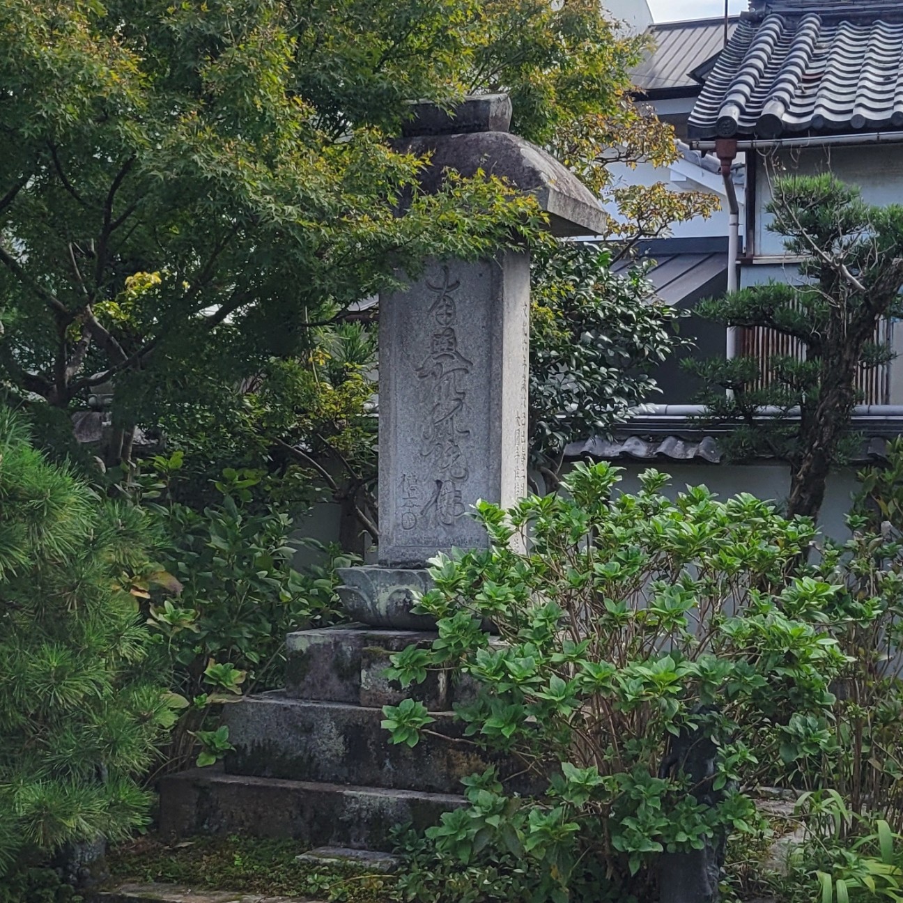 f:id:atoriatoriatori:20251124105405j:image