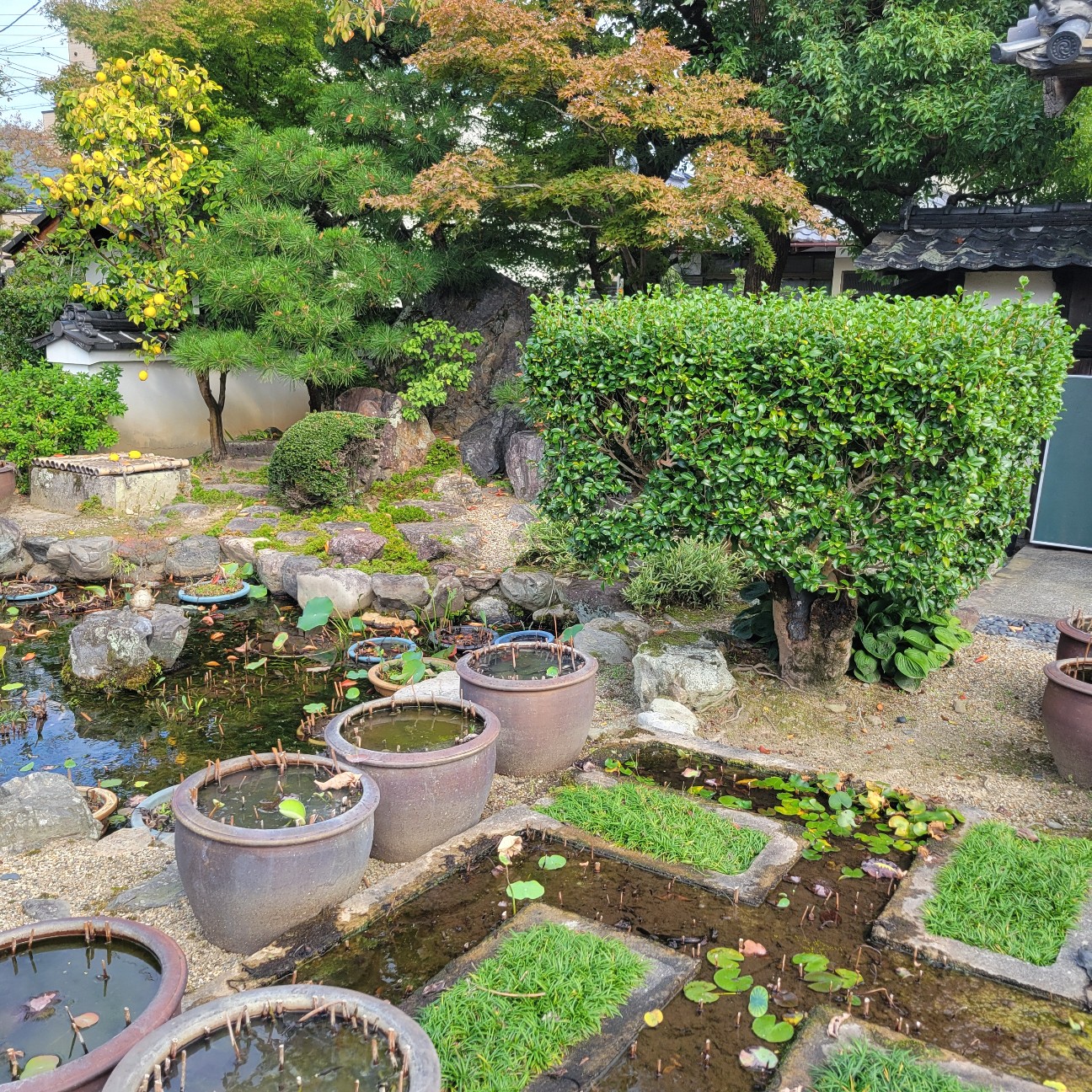 f:id:atoriatoriatori:20251124111601j:image