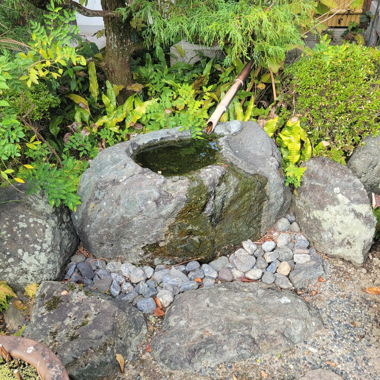 f:id:atoriatoriatori:20251125090850j:image