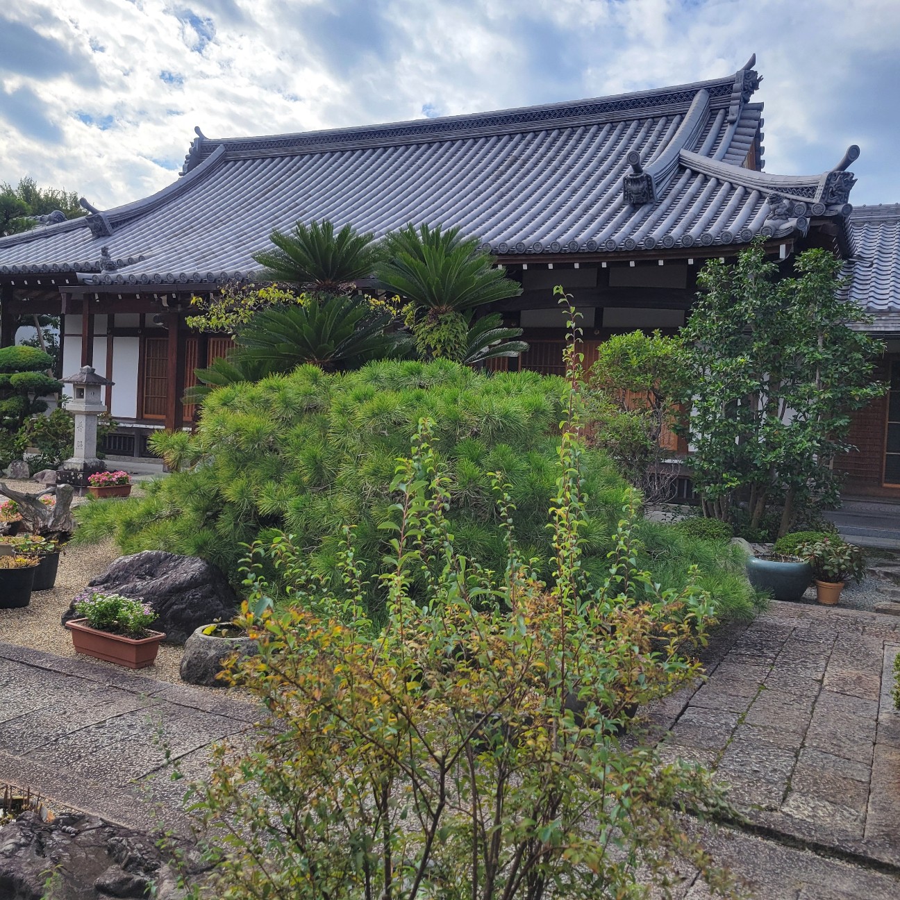 f:id:atoriatoriatori:20251125091030j:image