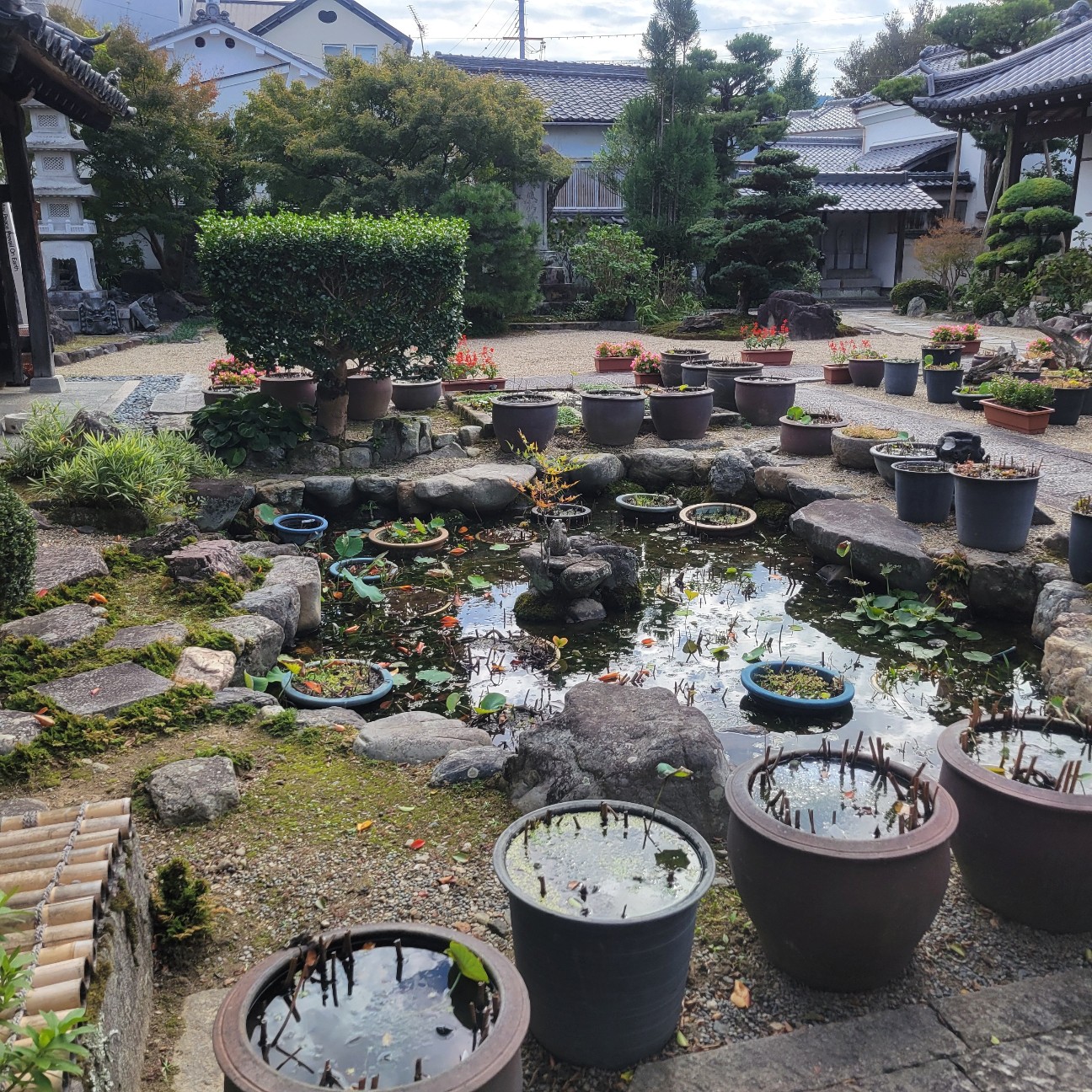 f:id:atoriatoriatori:20251125091044j:image