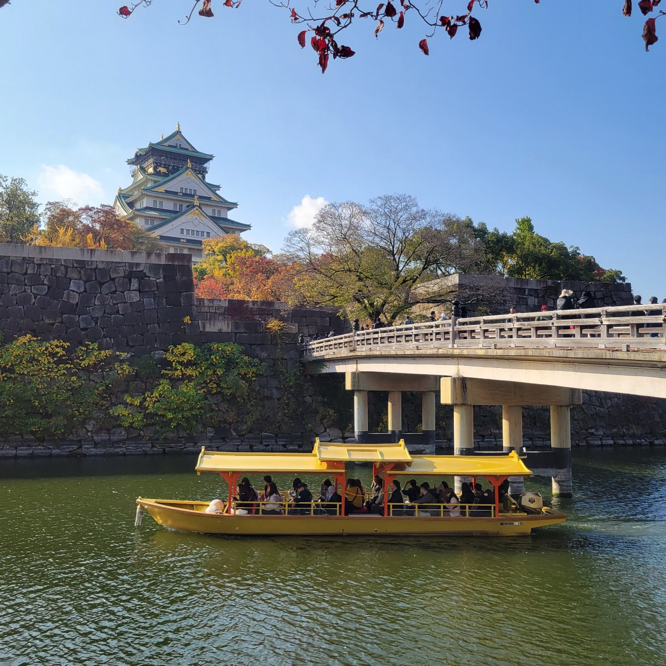 f:id:atoriatoriatori:20251126171720j:image