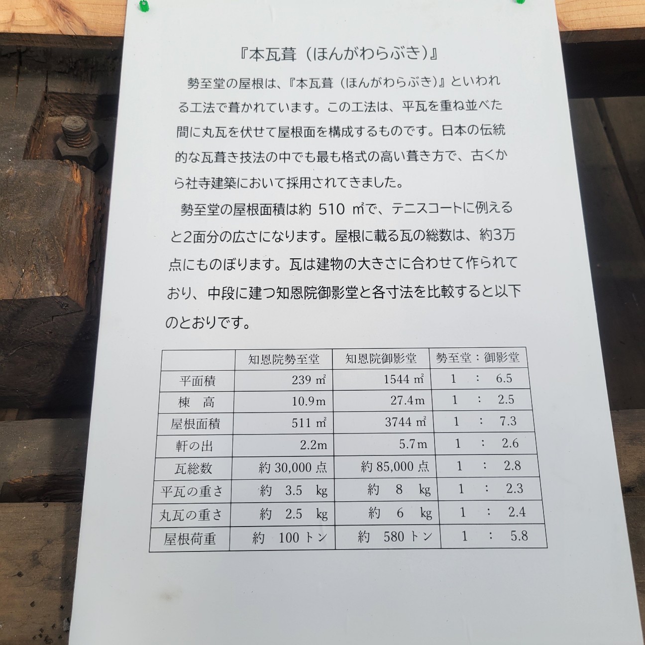 f:id:atoriatoriatori:20251127115007j:image