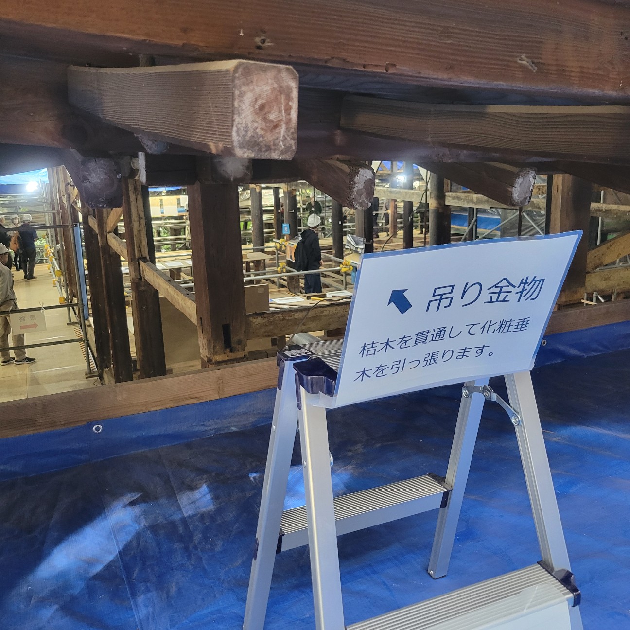 f:id:atoriatoriatori:20251127120336j:image