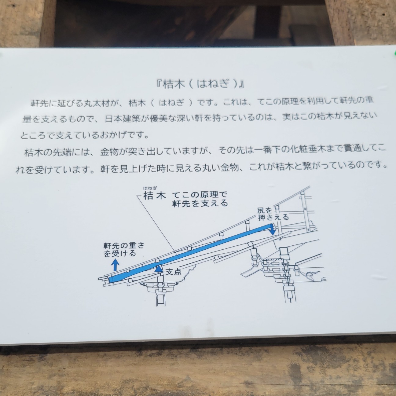f:id:atoriatoriatori:20251127120343j:image