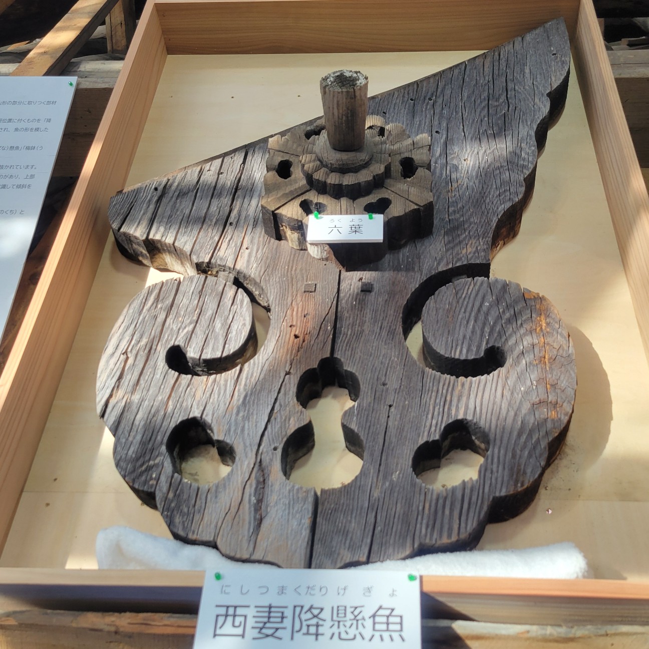 f:id:atoriatoriatori:20251127125620j:image