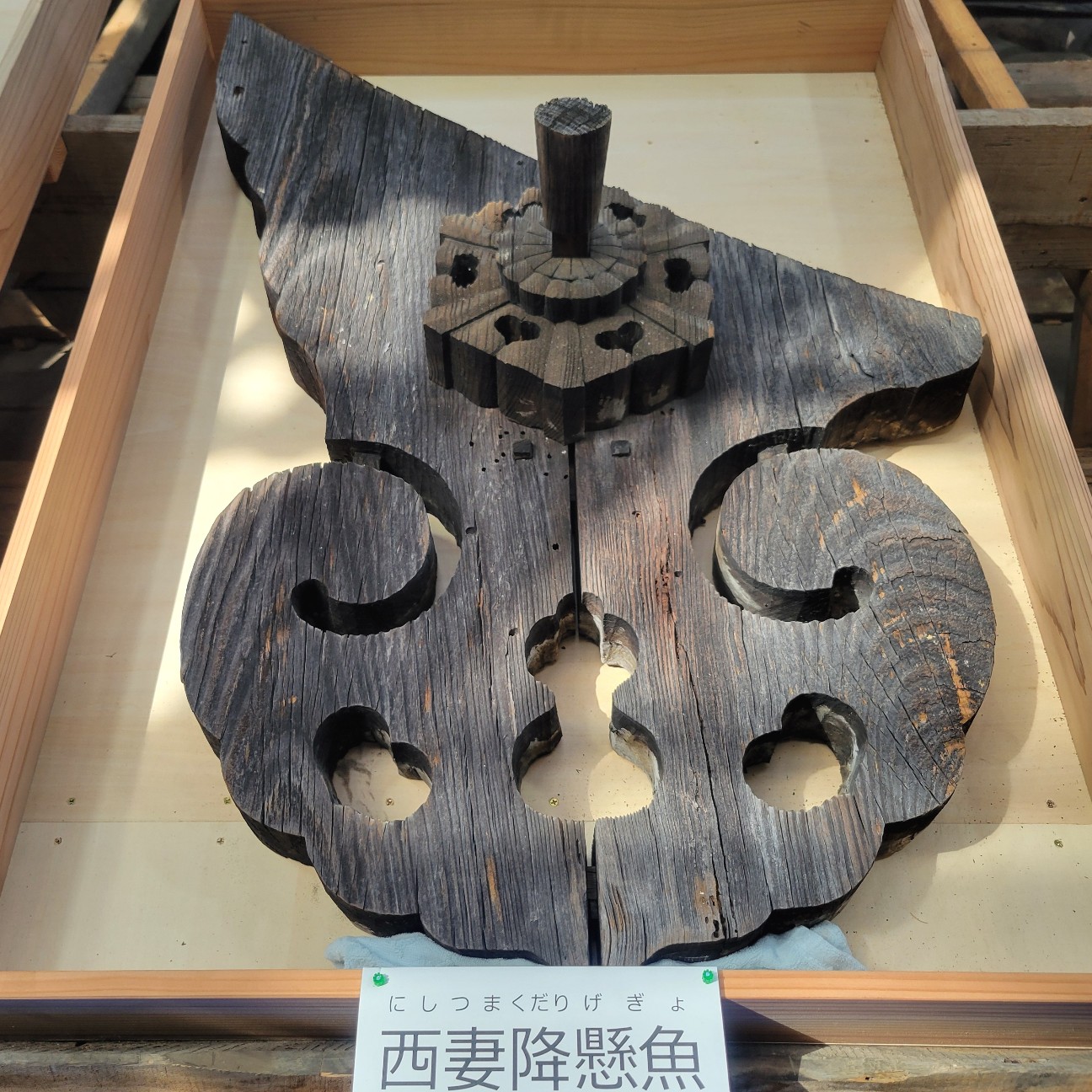 f:id:atoriatoriatori:20251127125951j:image