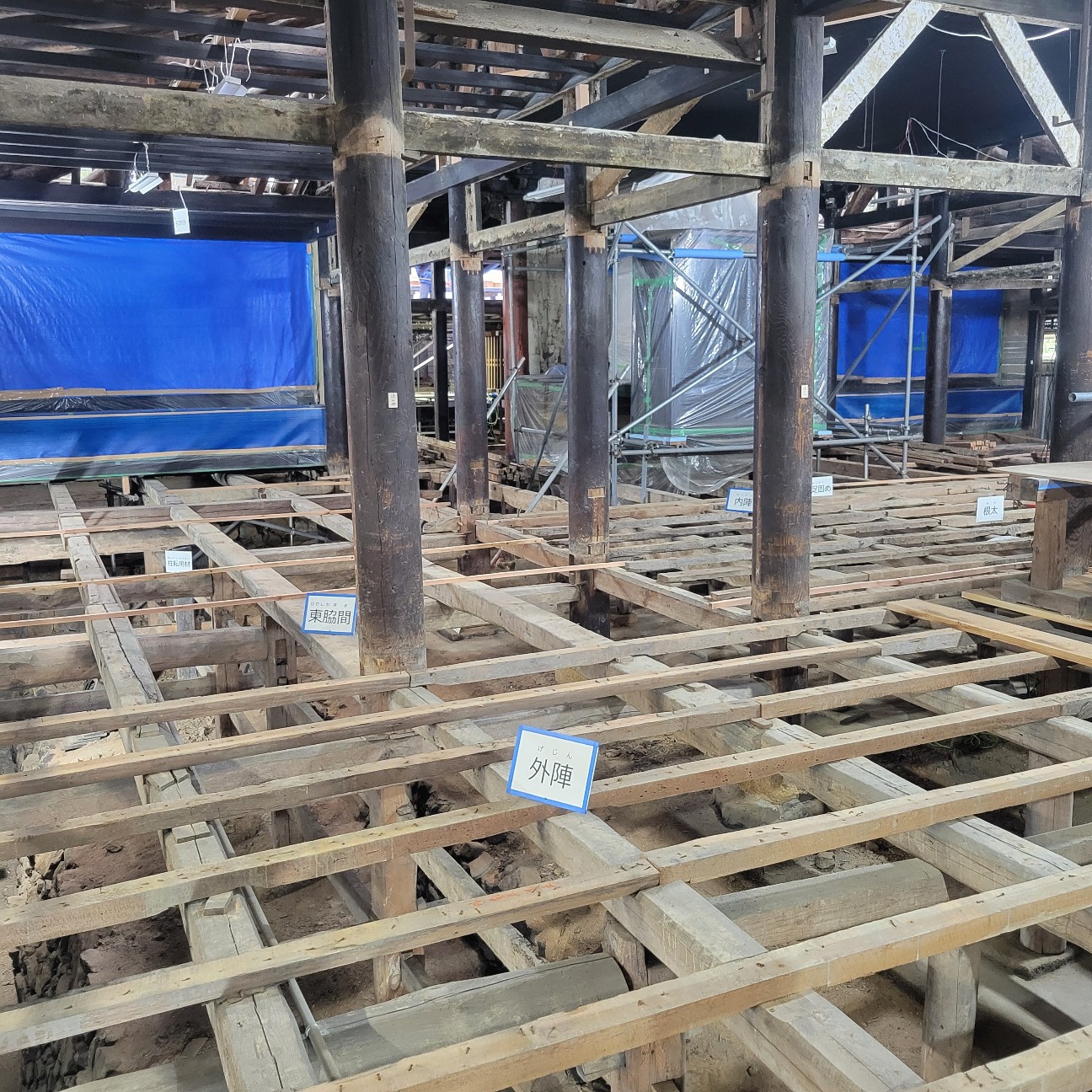 f:id:atoriatoriatori:20251127154833j:image f:id:atoriatoriatori:20251127154833j:image