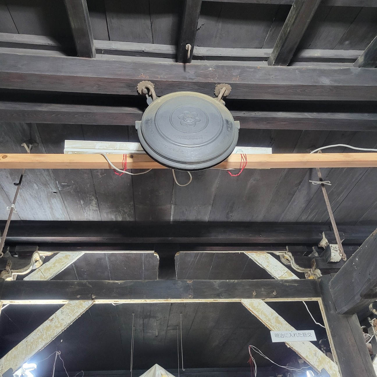 f:id:atoriatoriatori:20251127154841j:image f:id:atoriatoriatori:20251127154841j:image