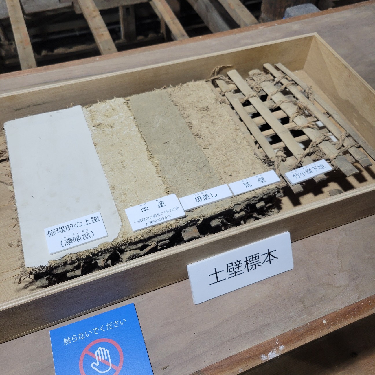 f:id:atoriatoriatori:20251127154859j:image f:id:atoriatoriatori:20251127154859j:image