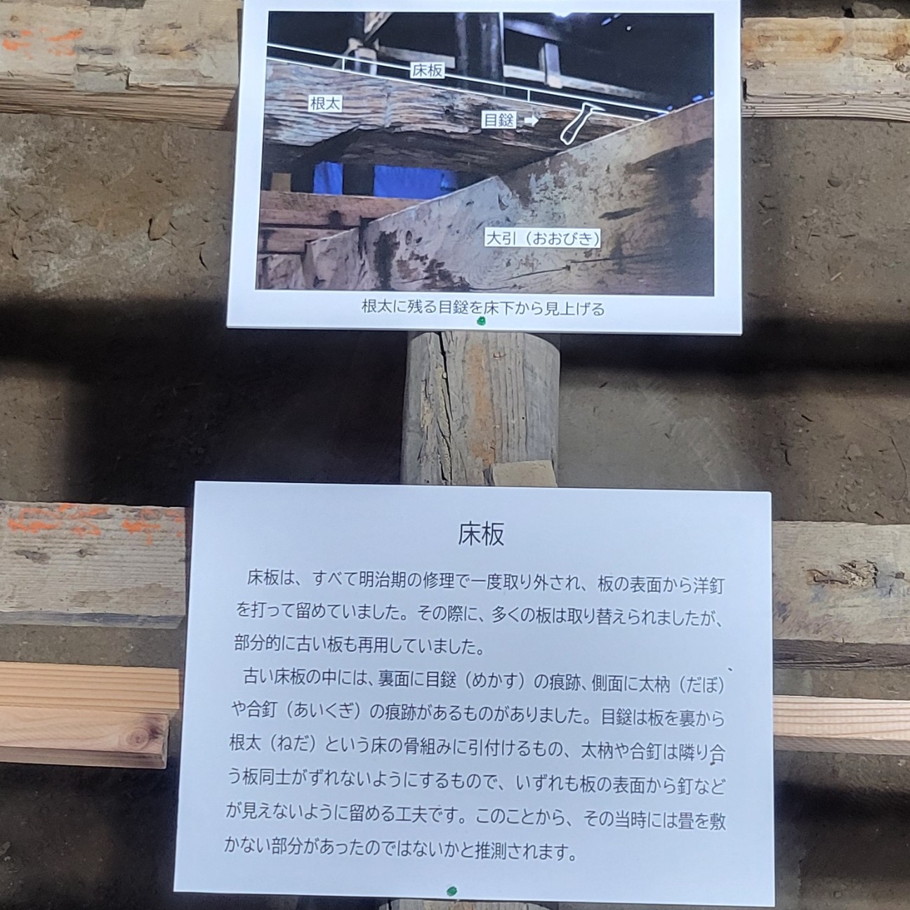 f:id:atoriatoriatori:20251127165452j:image f:id:atoriatoriatori:20251127165452j:image