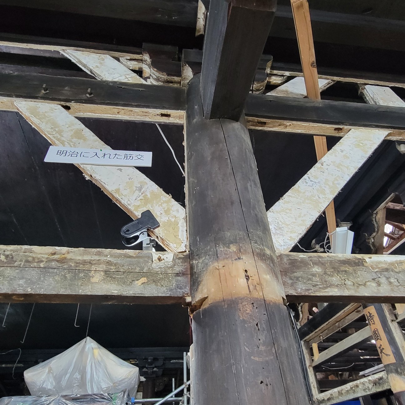 f:id:atoriatoriatori:20251127165500j:image f:id:atoriatoriatori:20251127165500j:image