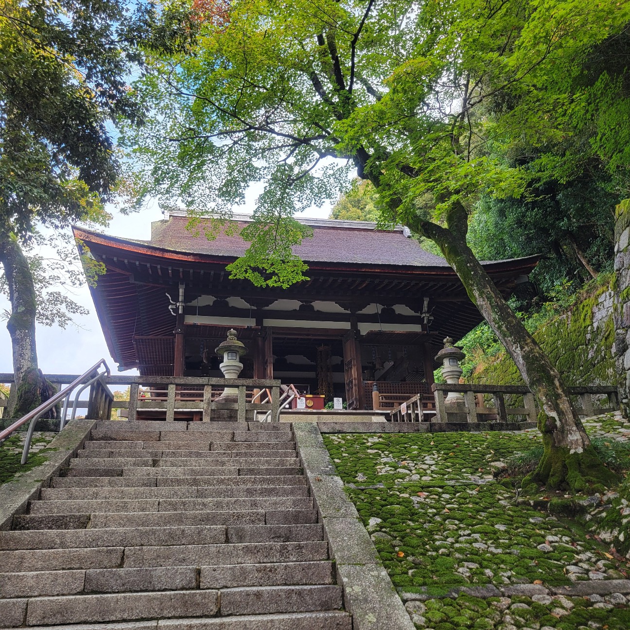 f:id:atoriatoriatori:20251127180249j:image f:id:atoriatoriatori:20251127180249j:image