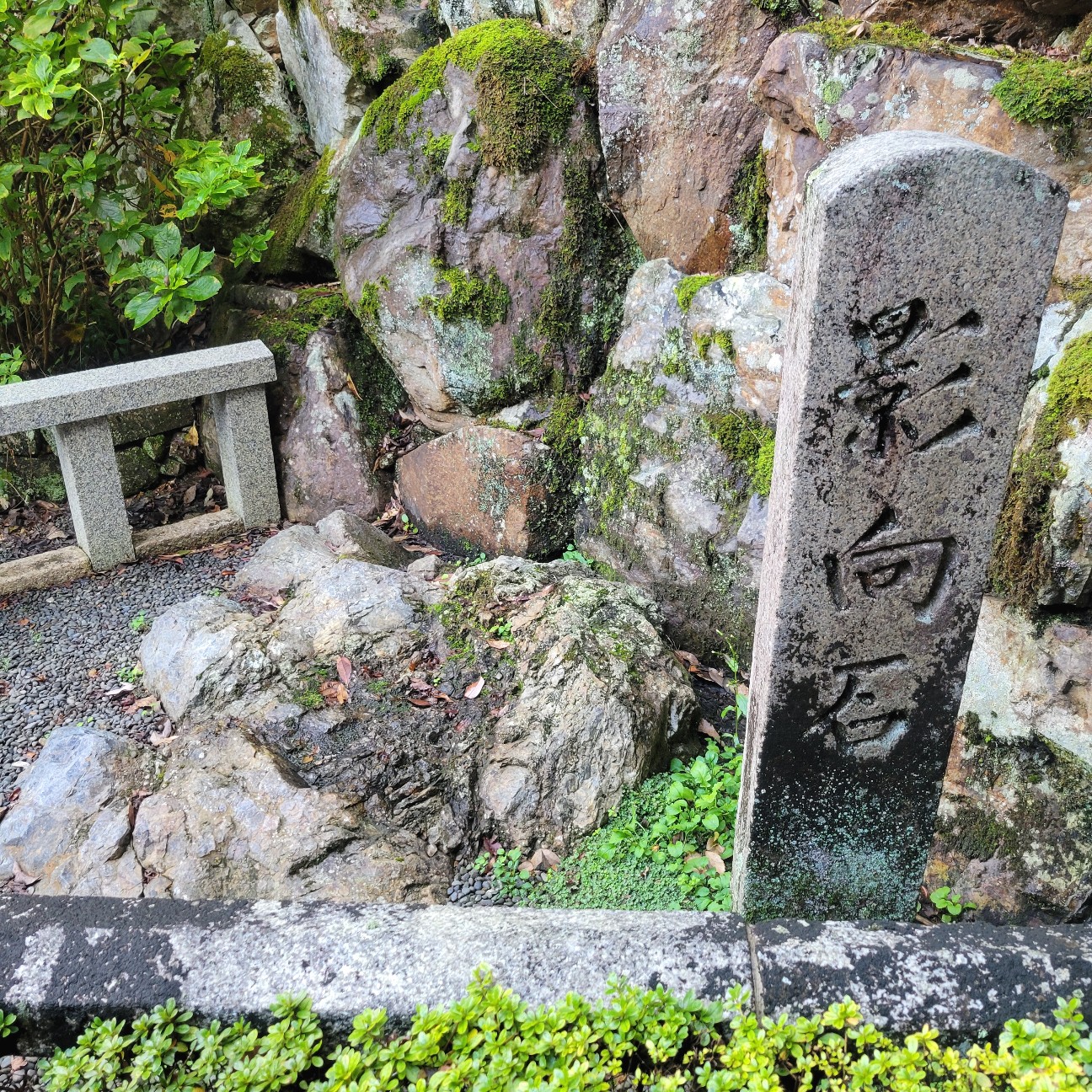 f:id:atoriatoriatori:20251127194625j:image f:id:atoriatoriatori:20251127194625j:image