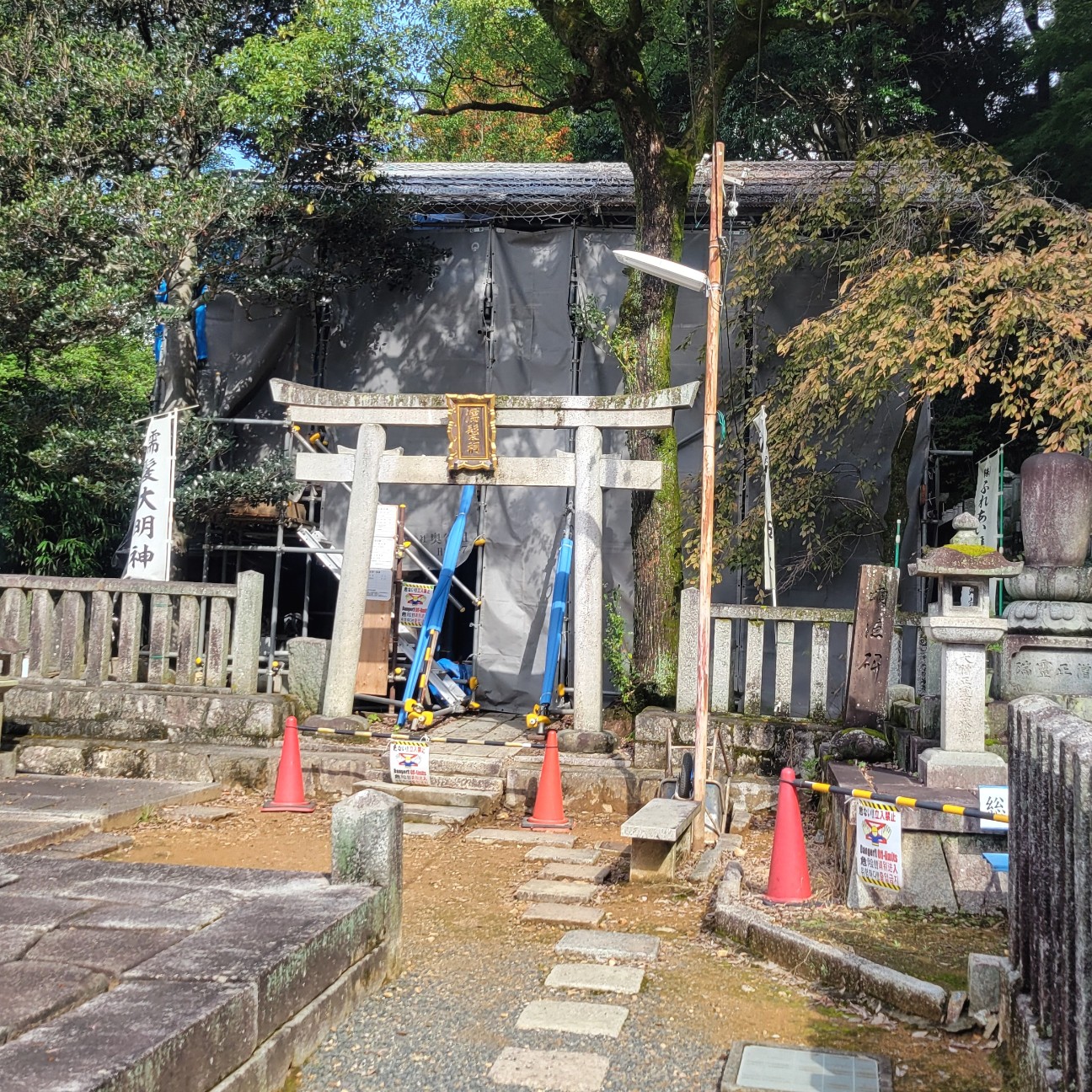 f:id:atoriatoriatori:20251127194926j:image f:id:atoriatoriatori:20251127194926j:image