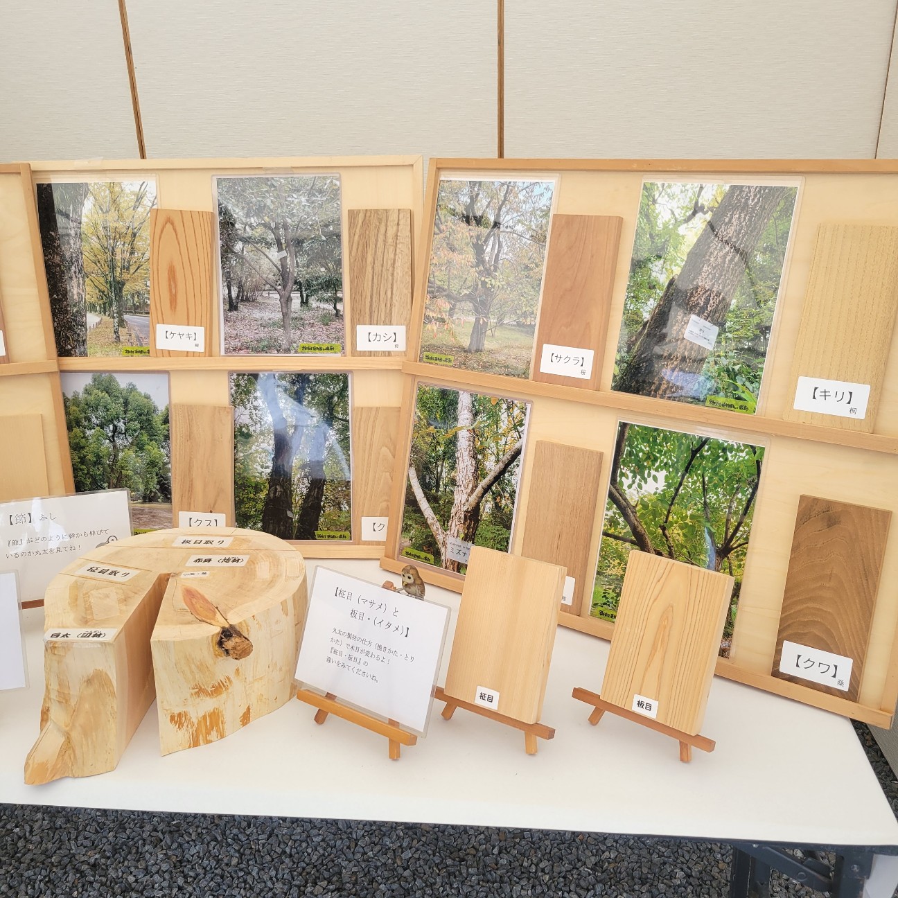 f:id:atoriatoriatori:20251128074956j:image f:id:atoriatoriatori:20251128074956j:image