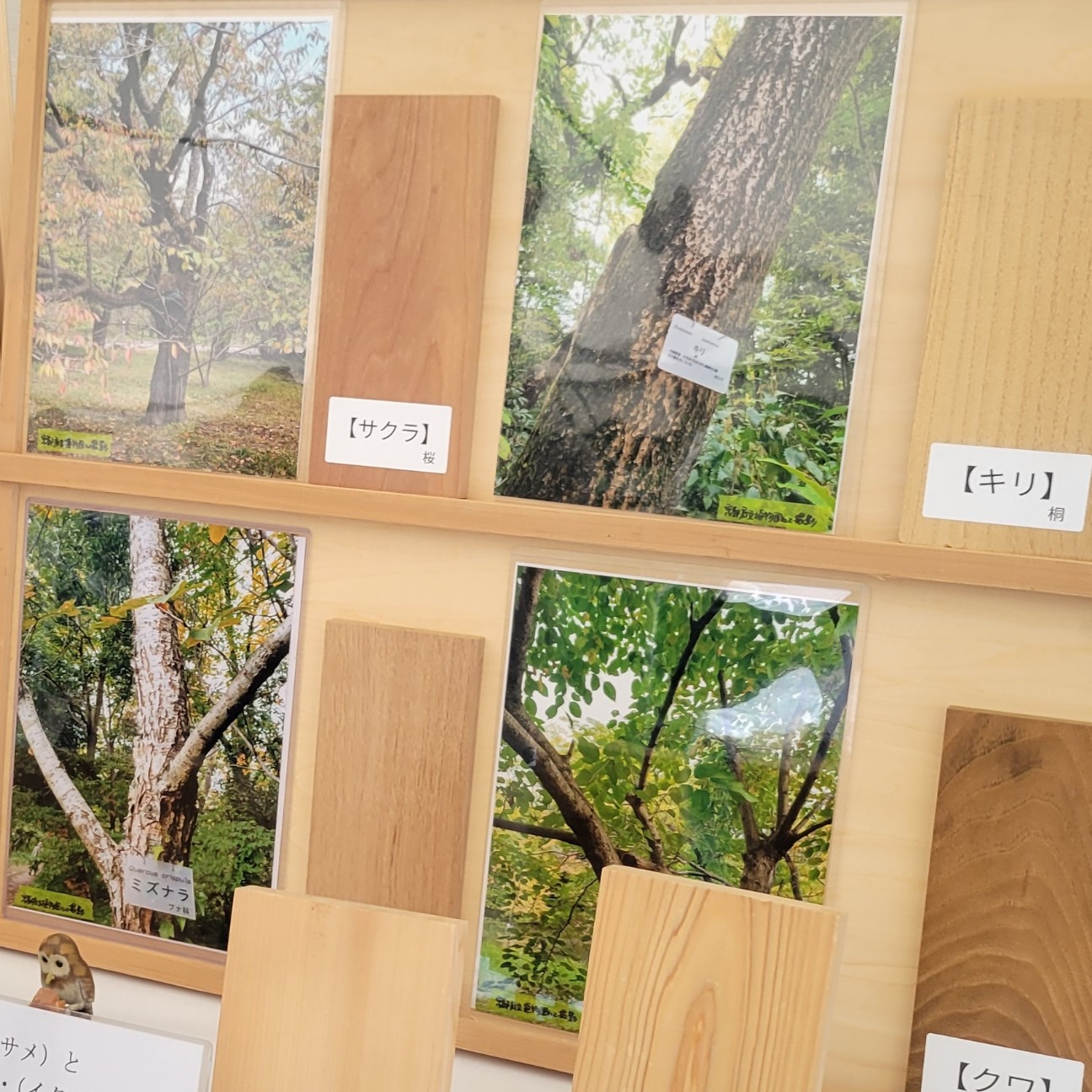 f:id:atoriatoriatori:20251128075258j:image f:id:atoriatoriatori:20251128075258j:image