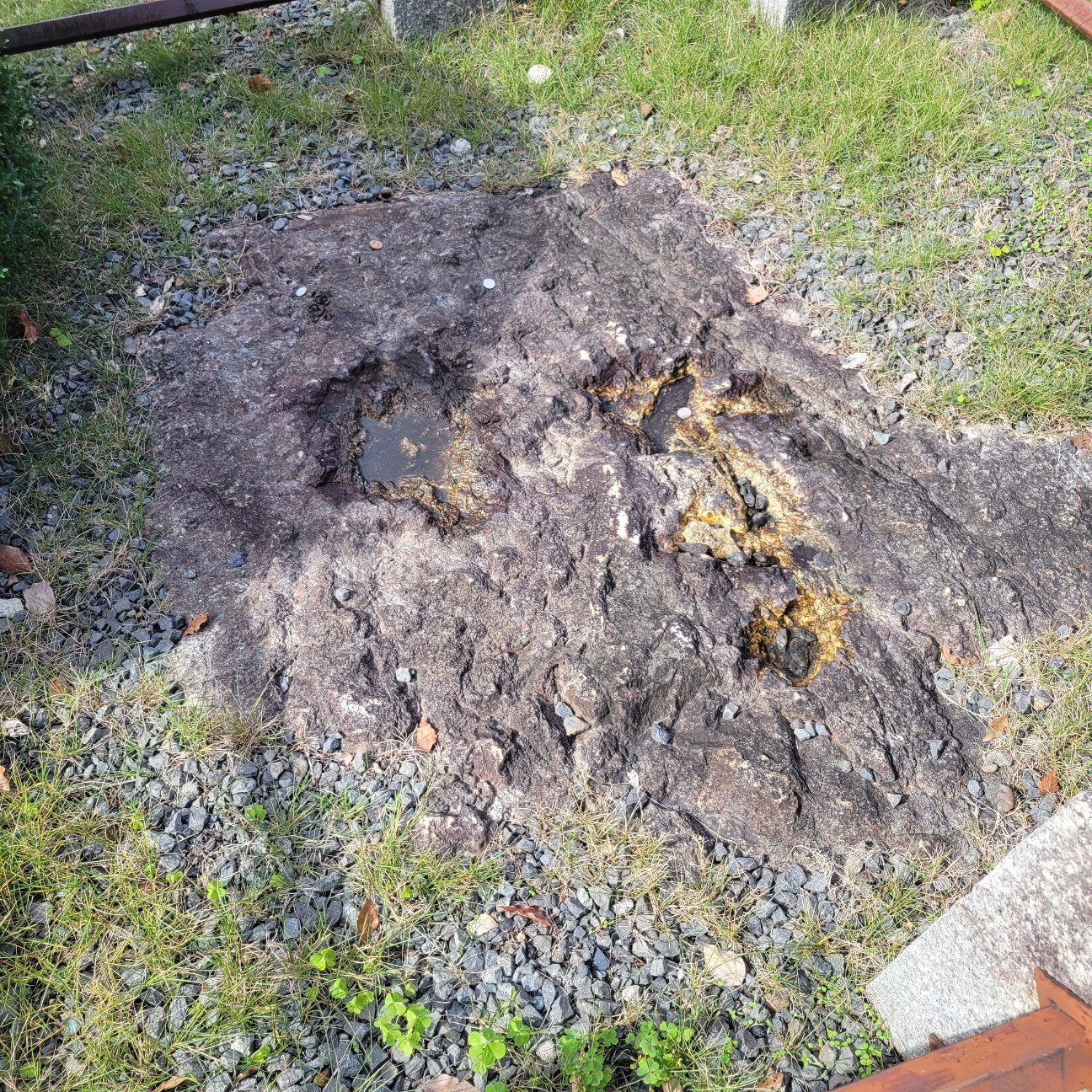 f:id:atoriatoriatori:20251128095122j:image f:id:atoriatoriatori:20251128095122j:image